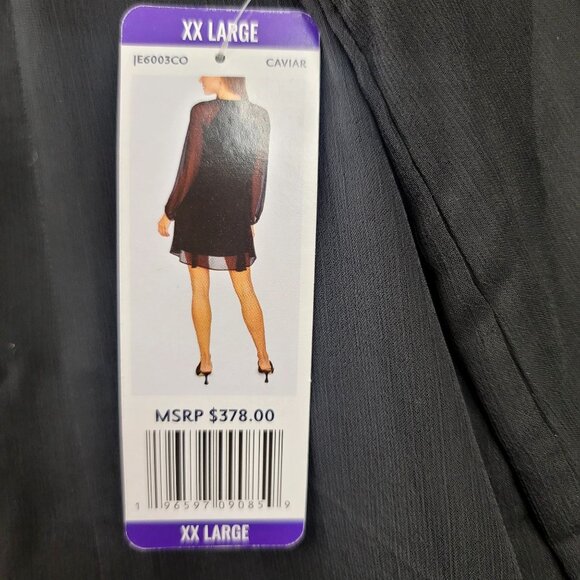 Y2K Balloon Sleeve Sheer XXL Whimsigoth Romantic Flowy Slinky Dress Feminine New - Picture 5 of 12